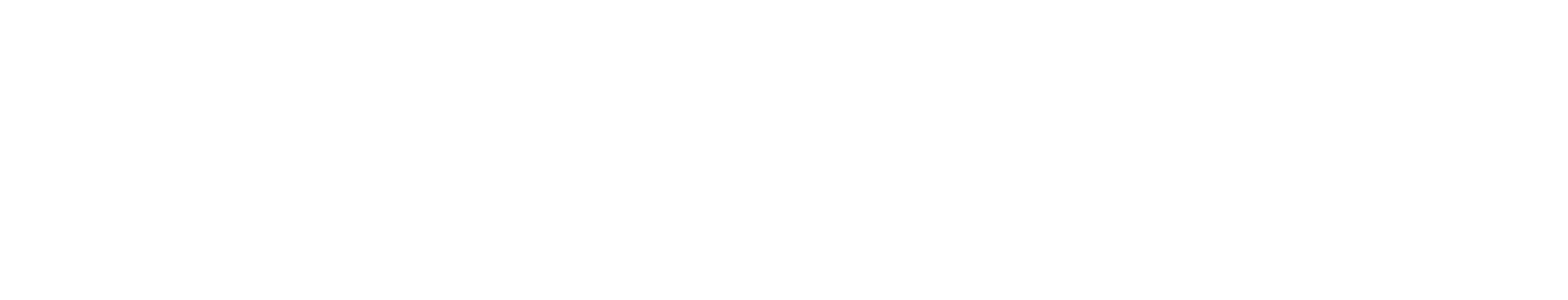 rev.space _White Primary Logo